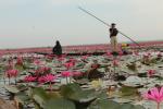 ภาพโดย(chaelae)